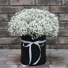 Цветочная композиция из Гипсофила в шляпной коробке #REPLACE_PRED# Новоульяновском