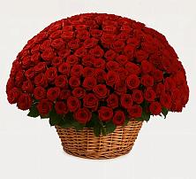 Премиум букет из: Розы в Новоульяновском